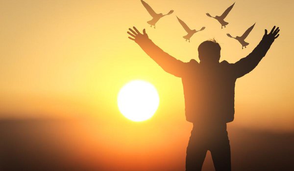 肖申克的救赎老布的结局