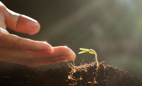 报复社会的人什么心理