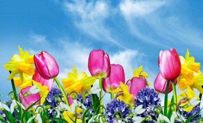 家里给祖先上香一般上几根香 供祖宗烧香都有哪些讲究