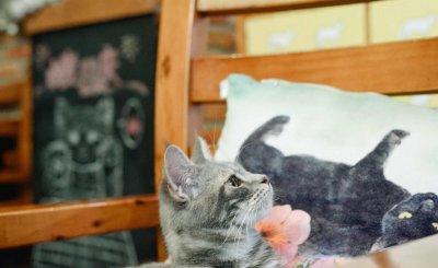 见面尴尬是互相喜欢吗 两个人互相喜欢见面会觉得尴尬吗