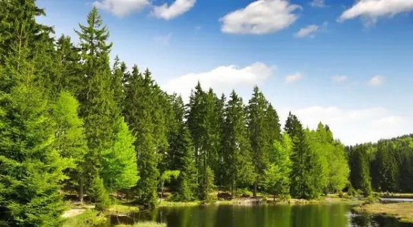 成语成语三人成虎的意思