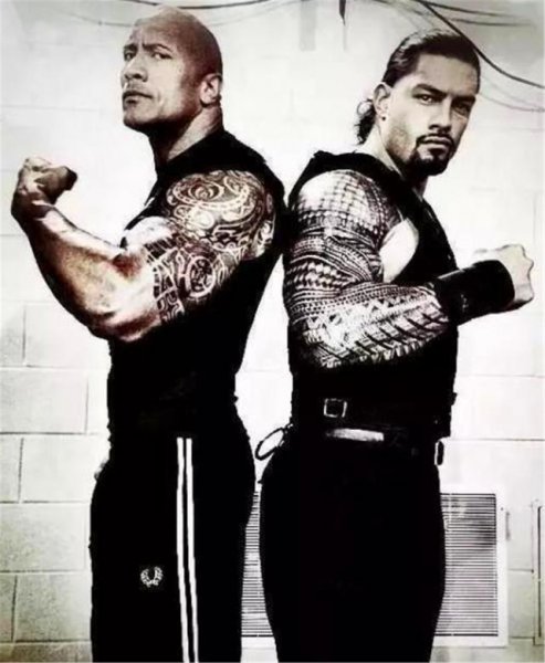 巨石强森是什么人种