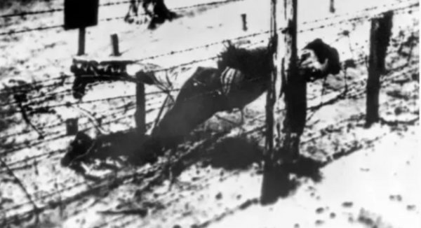 雅科夫朱加什维利的死因