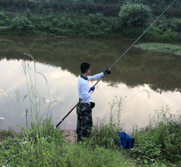 饵料谷麦钓鲤鱼最新配方