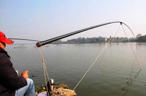 鱼竿分几种类型