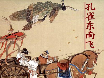 为什么孔雀东南飞而不是西北飞 孔雀东南飞故事的寓意