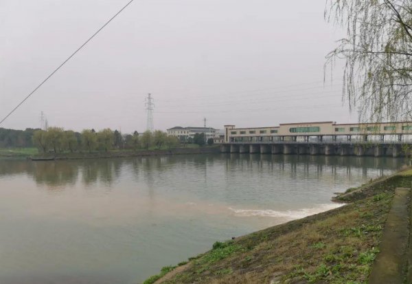 怎样钓白条绝招