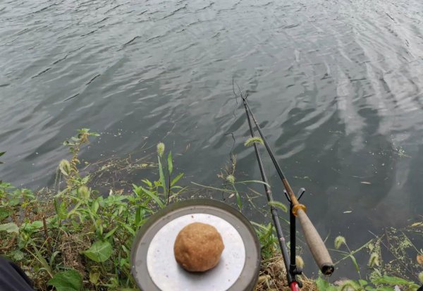 怎样钓白条绝招