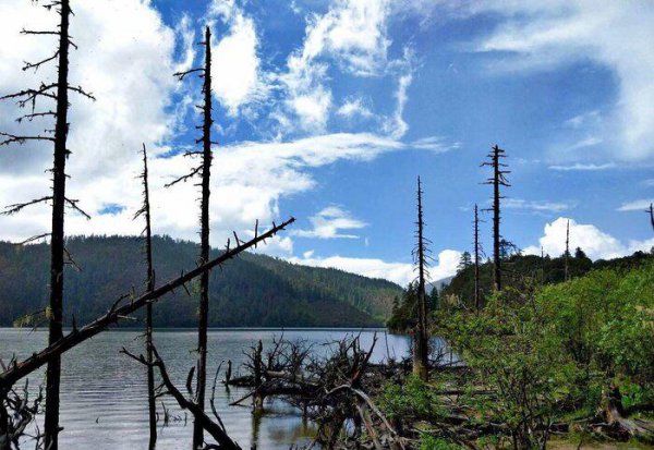 香格里拉在云南哪里个城市