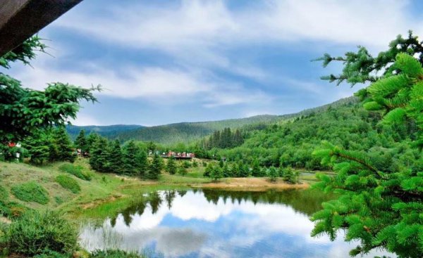 香格里拉在云南哪里个城市