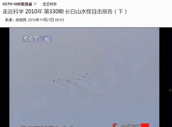 水獭是什么动物