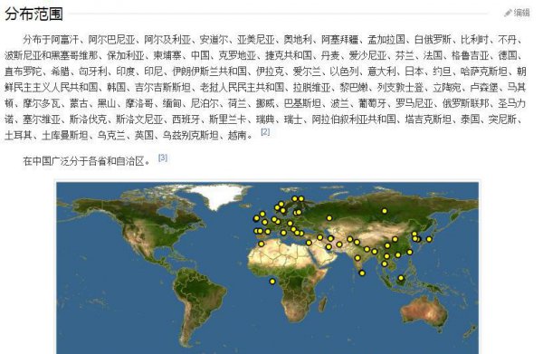 水獭是什么动物