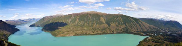 水獭是什么动物