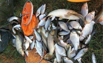 冬钓鲫鱼用多少吃铅量的漂 冬季钓鲫鱼浮漂的选用原则