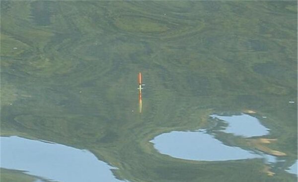 冬钓鲫鱼用多少吃铅量的漂