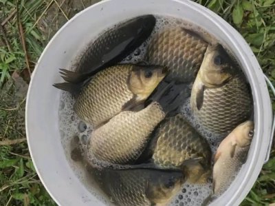 大跑铅钓法的优势及注意事项 什么情况下适合用大跑铅钓法