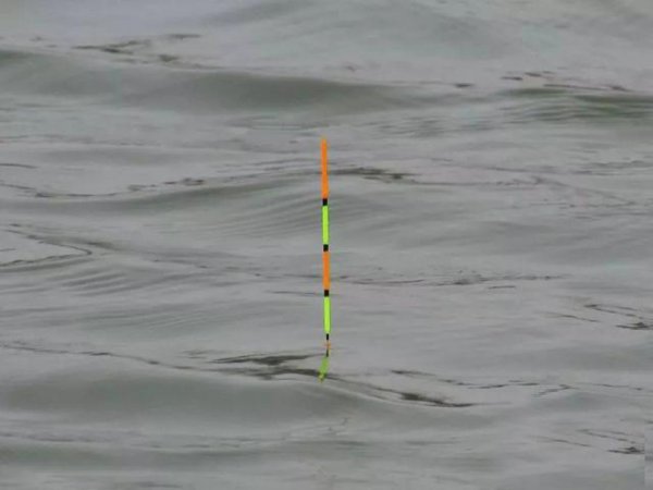 大跑铅钓法的优势及注意事项