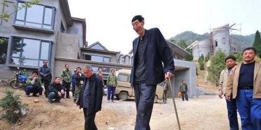 现在中国第一高人是谁简介