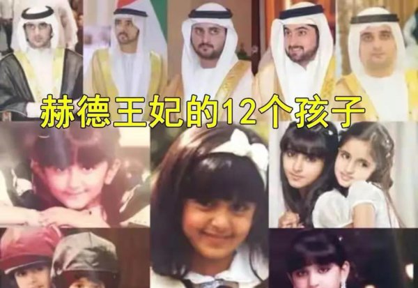 迪拜王子哈曼丹个人资料