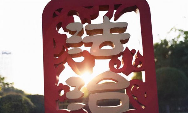 当律师条件需要什么学历要求