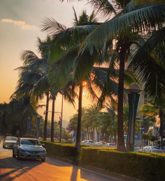 最适合人类居住的城市