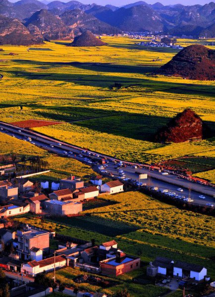 最适合人类居住的城市