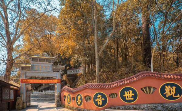 最适合人类居住的城市