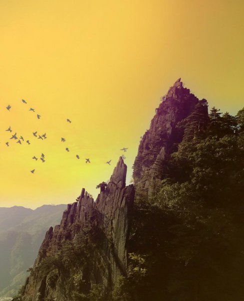 最适合人类居住的城市