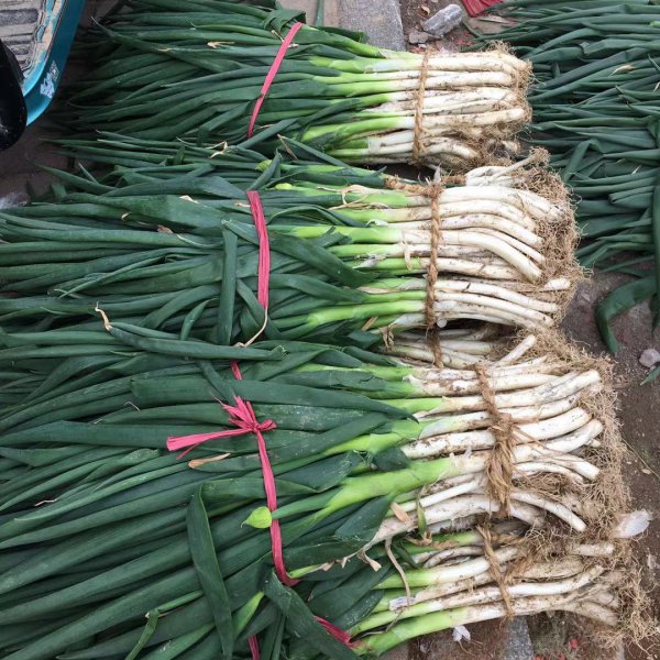 卖蔬菜利润一般大概多少