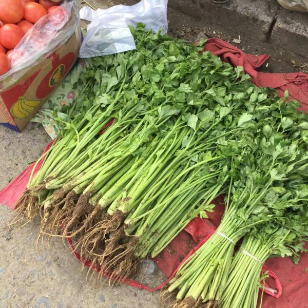 卖蔬菜利润一般大概多少