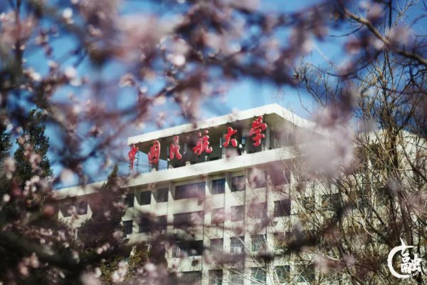 中国民航大学在哪个城市