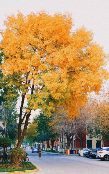 中国民航大学在哪个城市