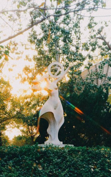 中国民航大学在哪个城市