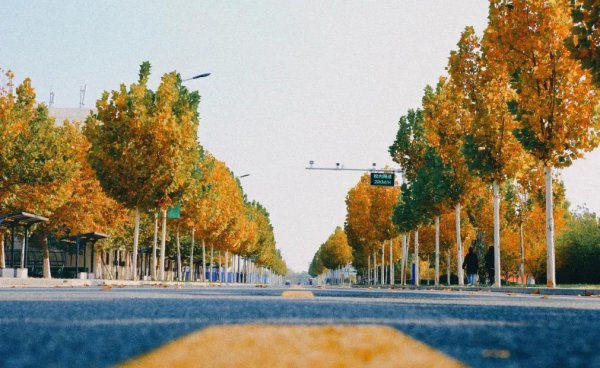 中国民航大学在哪个城市