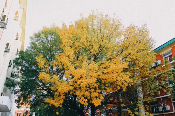 中国民航大学在哪个城市