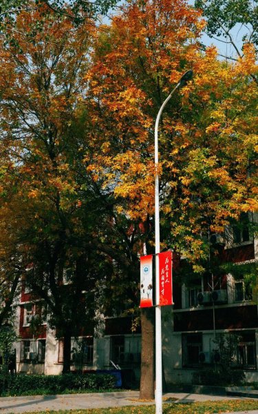 中国民航大学在哪个城市