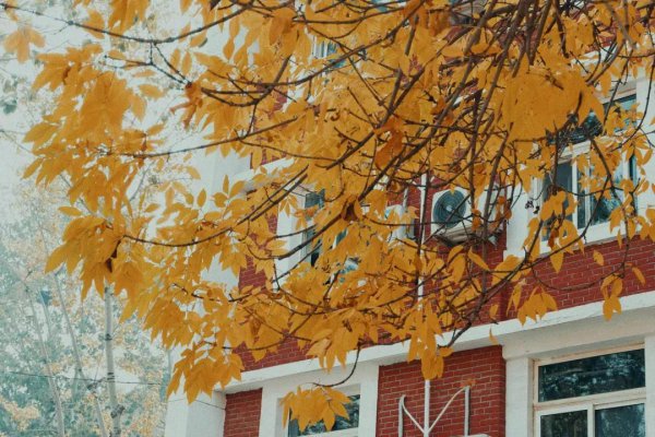 中国民航大学在哪个城市