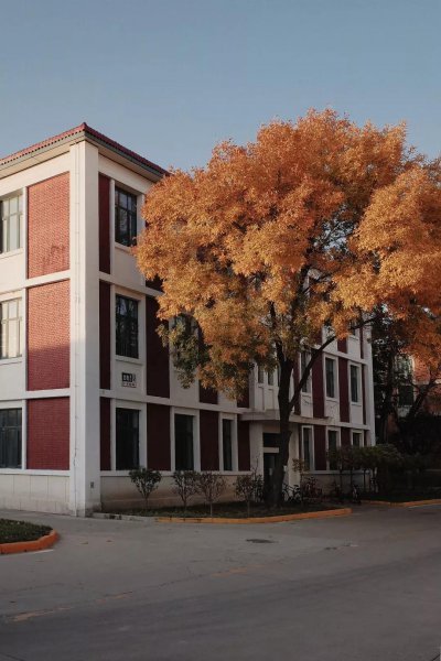 中国民航大学在哪个城市