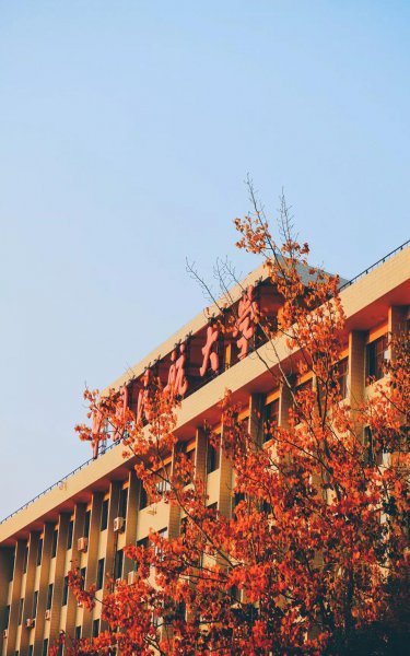 中国民航大学在哪个城市
