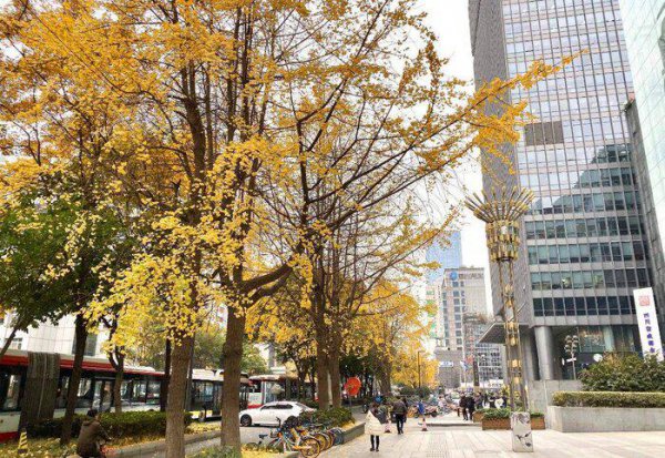 成都和重庆哪个城市更适合居住生活