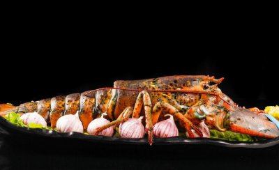 澳龙和波龙的区别是什么 应该怎么区分澳龙和波龙