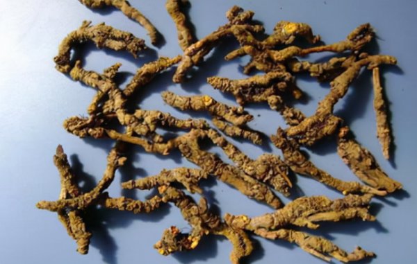 陕西安康特产有哪些可以带走