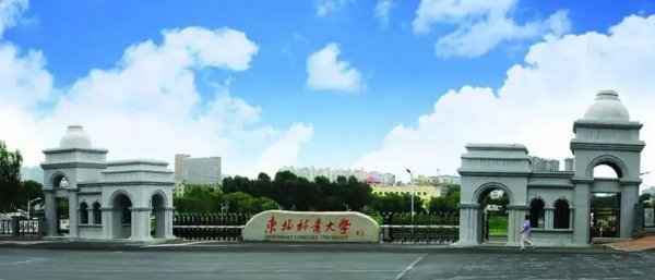 中国最大的学校是哪一个