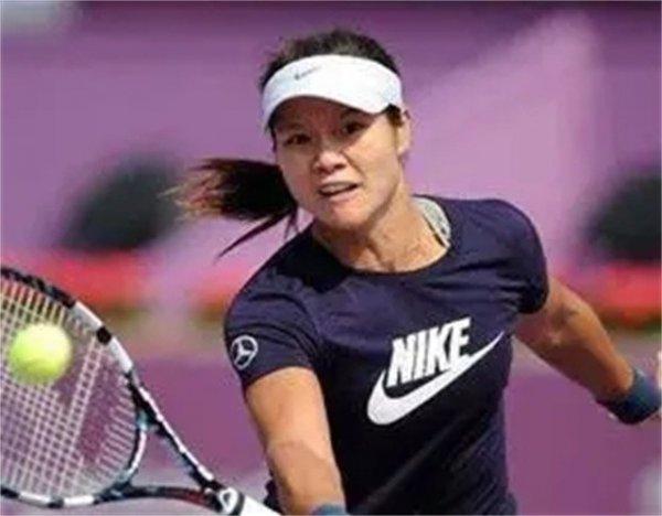 网球运动员李娜个人资料简介