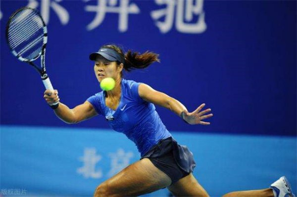 网球运动员李娜个人资料简介