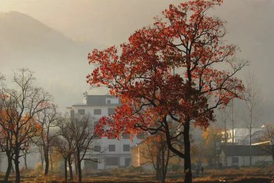 夫妻吵架冷战聪明女人的做法 跟老公吵架聪明女人处理方法