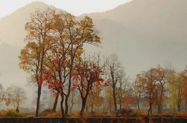 夫妻吵架冷战聪明女人的做法