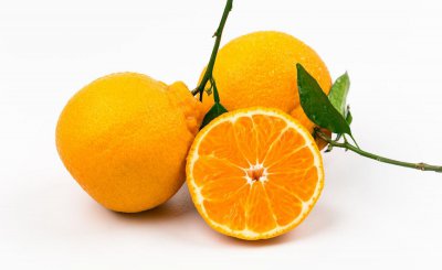 目前最好吃的4个品种柑橘 最受欢迎的柑橘品种排行榜
