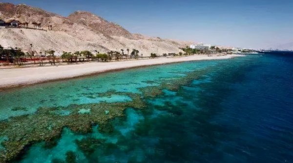 红海盐度高的原因