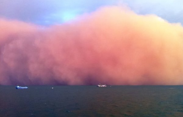 红海盐度高的原因